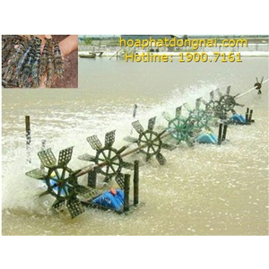 Vi sinh xử lý đáy ao và ngăn ngừa phèn HPDON-DAK