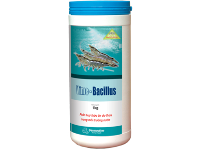 VIME- BACILLUS