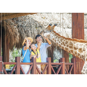 Vinpearl Phú Quốc Resort 5* - 2N1Đ P. Deluxe Garden + Ăn Sáng + Vinpearl Land Safari hoang dã
