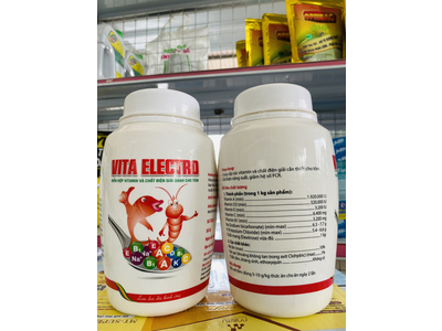 VITA ELECTRO