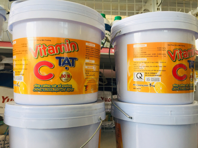 VITAMIN C TIỆP PHÁT