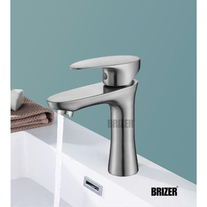 Vòi Lavabo Lạnh Tay Lá Inox 304 BZL06