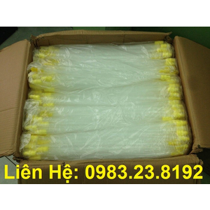 vòi phối thụ tinh cho heo