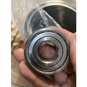 BẠC ĐẠN- VÒNG BI INOX 6204