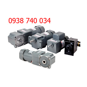 MOTOR MINI WANSHSIN, MOTOR GIẢM TỐC MINI WANSHSIN 25W, 25W