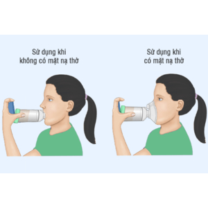 Buồng đệm Wellmed DL-08