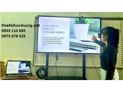 What factors does the price of a Touchscreen TV screen bear?