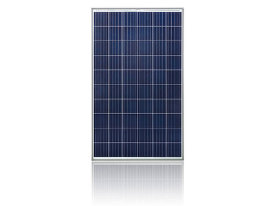 Tấm pin năng lượng mặt trời Winaico poly WST-P6 PERC