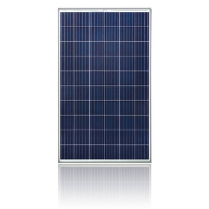Tấm pin năng lượng mặt trời Winaico poly WST-P6 PERC