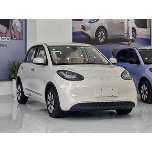 Wuling Bingo Base (333KM)
