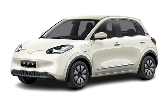 Wuling Bingo Base (333KM)
