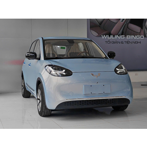 Wuling Bingo Plus (333KM)