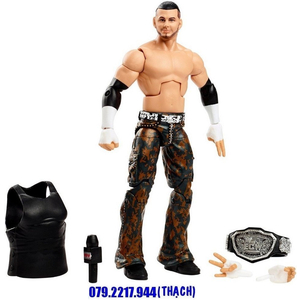 WWE MATT HARDY - ELITE ECW CHAMPION (EXCLUSIVE) (KHÔNG HỘP)