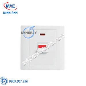 Công tắc - Ổ cắm Hager - Model WXER32D1