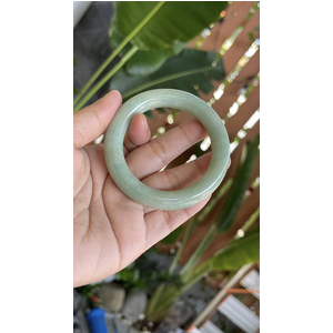 Xanh táo – Nếp mịn