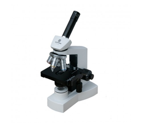 Kính hiển vi Euromex monocular microscope XLR-K