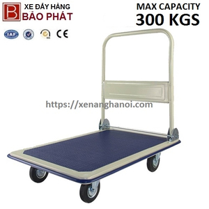 Xe đẩy hàng mặt thép tải trọng 300kg