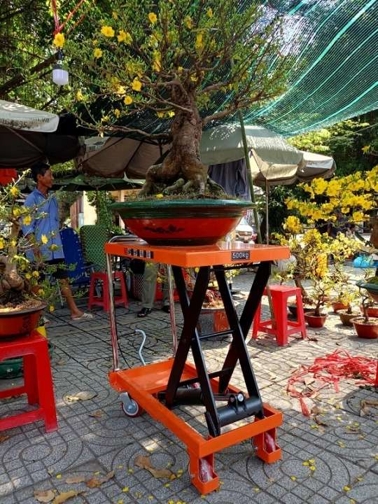 Xe nâng chậu cảnh - cây cảnh | Xe nâng Cường Thịnh