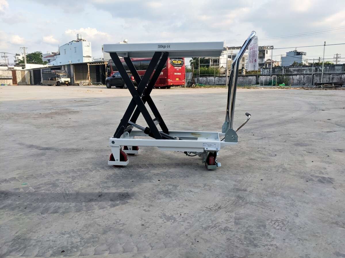 Xe Nâng Mặt Bàn 300kg - TF30 tại Xe Nâng Cường Thịnh