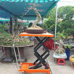 XE NÂNG MẶT BÀN NOBLLEIFT 1.5M