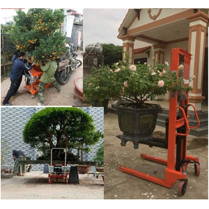 Xe nâng mặt bàn tải trọng 300kg Model WP300
