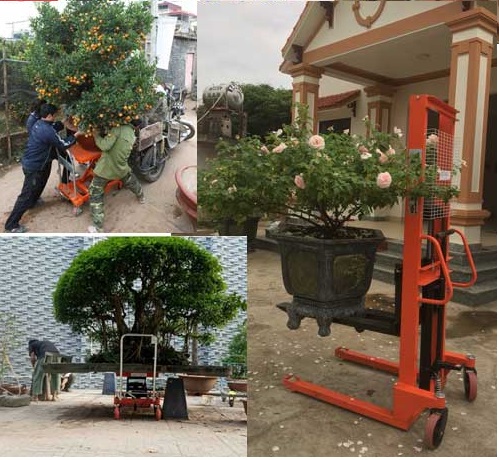 Xe nâng mặt bàn tải trọng 500kg Model PT500B