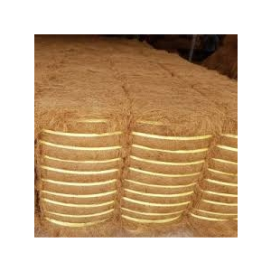 CHỈ XƠ DỪA