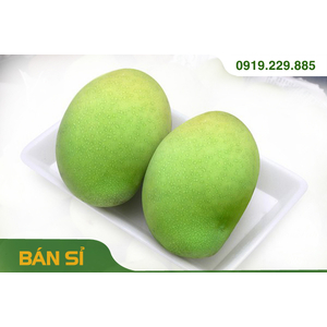 XOÀI CÁT CHU ĐỒNG THÁP