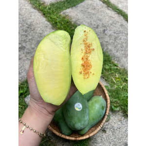 Xoài Thái Lan Vietgap