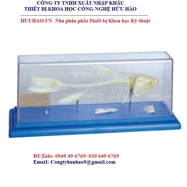 Biểu đồ xương cá Fishbone Diagram là gì Lợi ích của Biểu đồ xương cá đối  với doanh nghiệp  CÔNG TY TNHH TƯ VẤN NĂNG SUẤT VÀ CHẤT LƯỢNG QUỐC TẾ