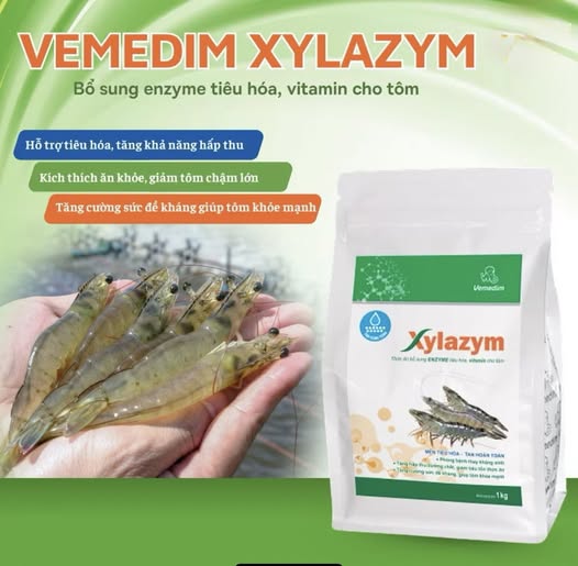 XYLAZYM VEMEDIM