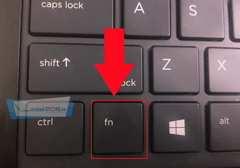 phím Fn