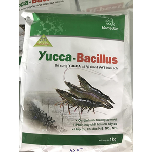 YUCCA-BACILLUS