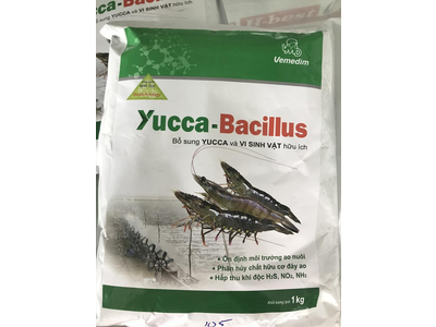 YUCCA-BACILLUS