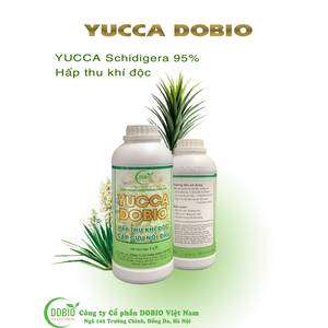 🔴 YUCCA DOBIO - HẤP THU KHÍ ĐỘC, CẤP CỨU NỔI ĐẦU, CHỐNG SỐC, GIẢM STRESS CÁ TÔM.