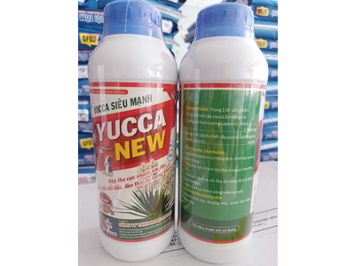 YUCCA NEW