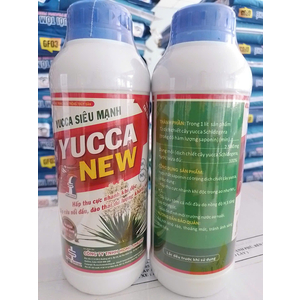 YUCCA NEW