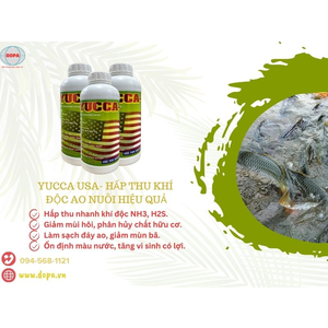 YUCCA USA - GIẢI PHÁP TUYỆT VỜI XỬ LÝ KHÍ ĐỘC NẰM TẬN SÂU Ở ĐÁY AO