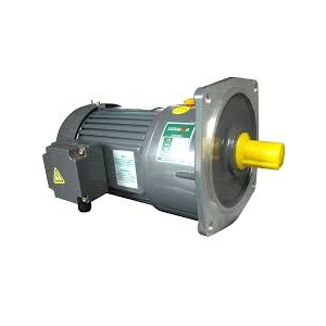 Z-Series Helical Gear Motor