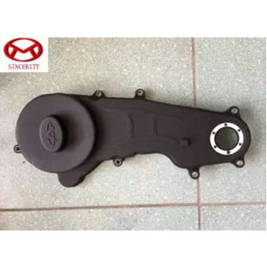 Ốp dây đai cam Chery QQ3