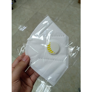 10 Khẩu trang N95 có van