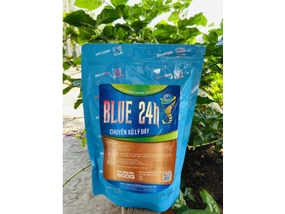 Blue 24h