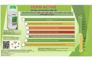 FERM ACTIVE (MEN ACID HỮU CƠ)