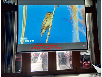 Máy Chiếu INFOCUS IN1034