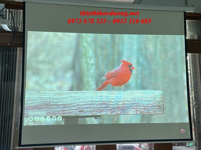 Máy Chiếu INFOCUS IN1034