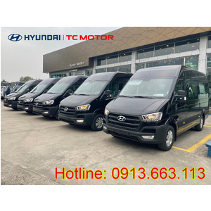 Hyundai Solati DL 16 chỗ bản tiêu chuẩn
