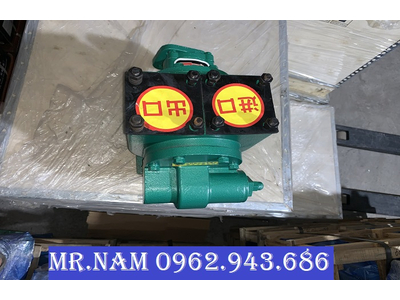 BƠM XĂNG DẦU 30m3 VÀ BƠM XĂNG DẦU 60m3 NHẬP KHẨU SẴN TẠI HÀ NỘI VÀ SÀI GÒN.