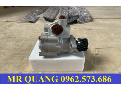 Bơm trợ lực lái Shacman