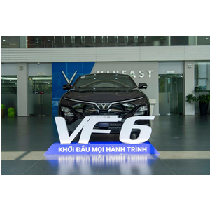 VINFAST VF6