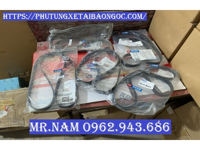 BÁN DÂY CUROA DÒNG CHENGLONG 507, M3, H5 , H7 CHÍNH HÃNG YUCHAI GIÁ TỐT NHẤT THỊ TRƯỜNG.